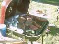 Grill