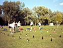 IMAGE0009.JPG.JPG