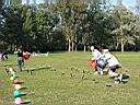 100-0067_IMG.JPG