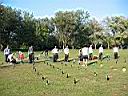 100-0073_IMG.JPG