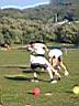 100-0082_IMG.JPG